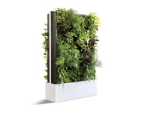 live-plant-room-dividers-naturaHQ-1024x819