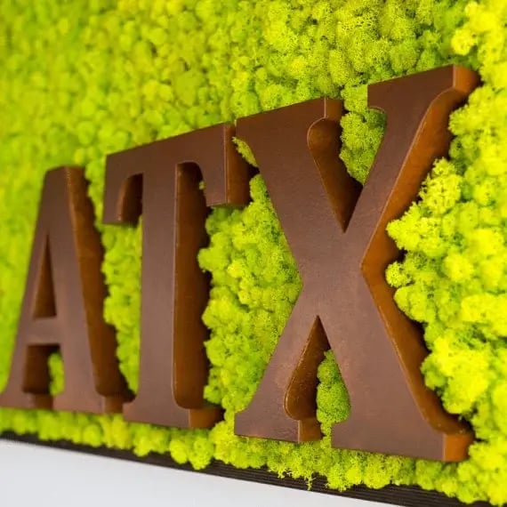 moss_wall_art-the_zebra-austinTX05-570x570-1
