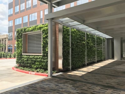 outdoor-greenwall-houston-briarpark-lockton-place