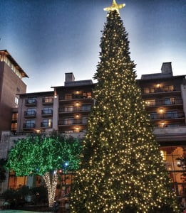 JW-Marriott-San-Antonio-Christmas-Lights 2