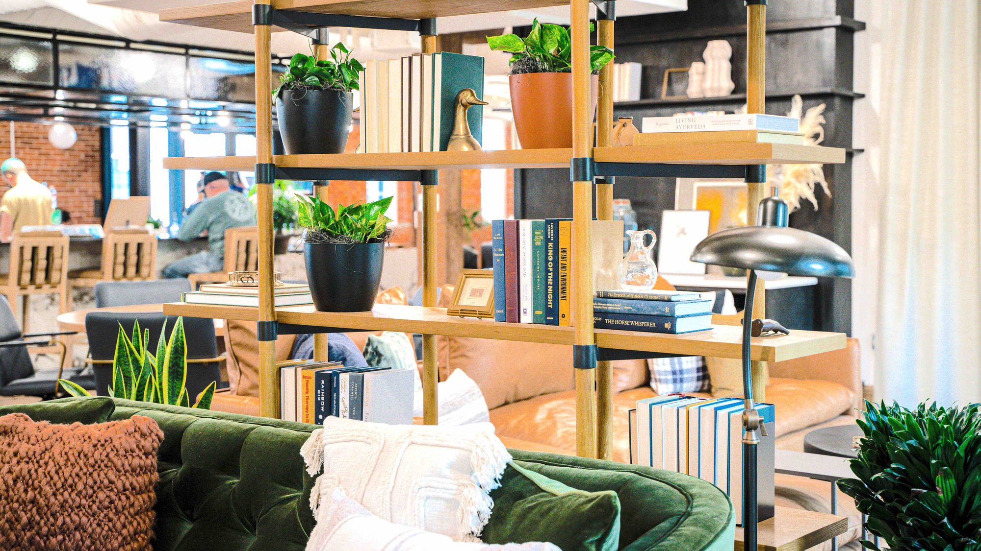 Office Plants