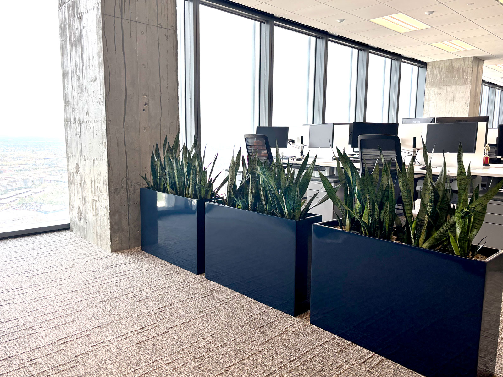 Do Indoor Plants Reduce Employee Stress? | Corporate Workplace Stress & Biophilic Design Perspective