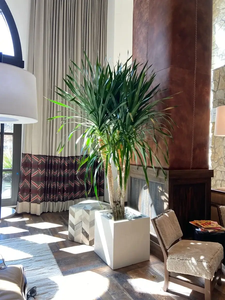 HOTEL DROVER