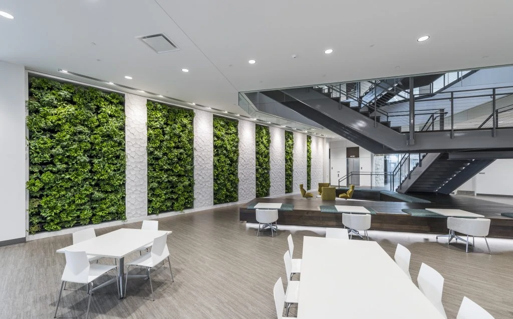 Green wall systems