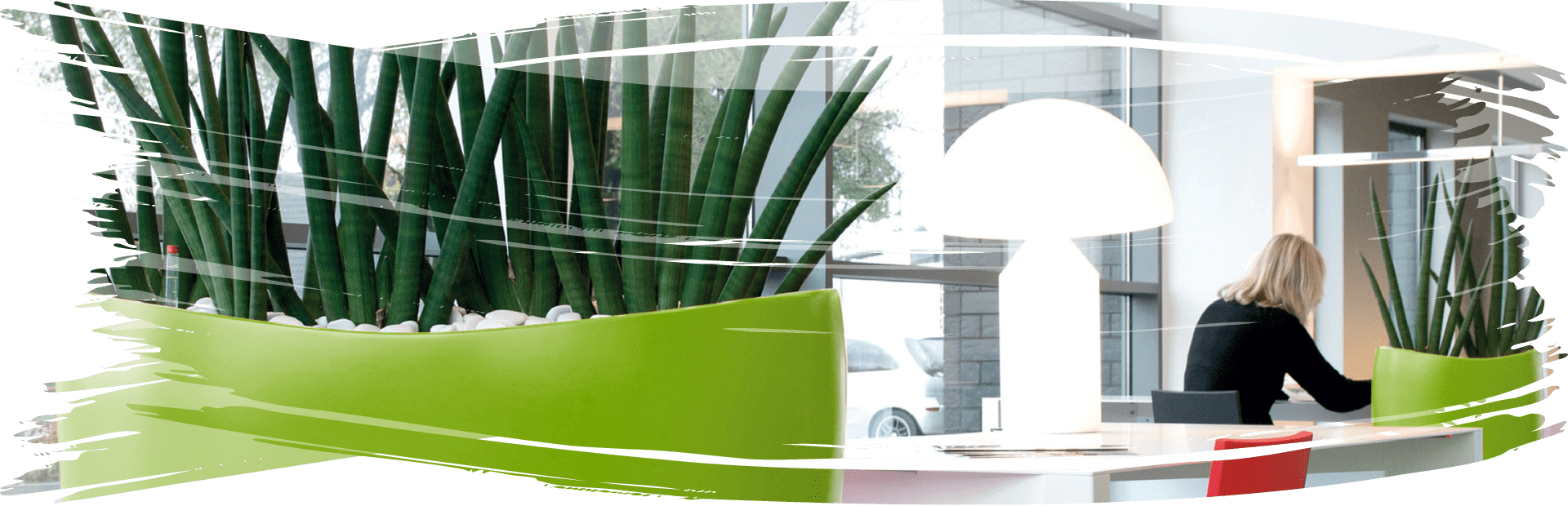 large-indoor-planters1920x620 large-indoor-planters1920x620