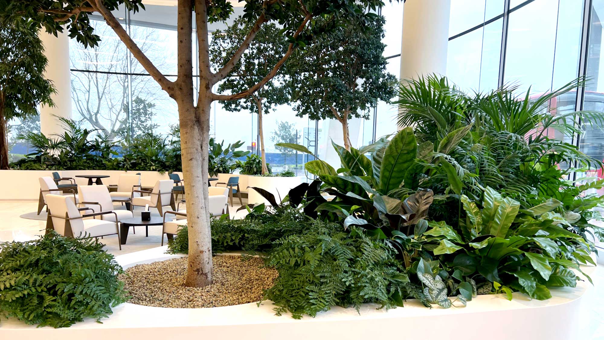Lush green plants and a tree indoors