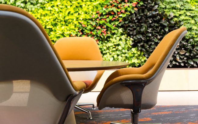 Natura-live_indoor_office_plants-greenwall_systems-650x406 Natura-live_indoor_office_plants-greenwall_systems-650x406
