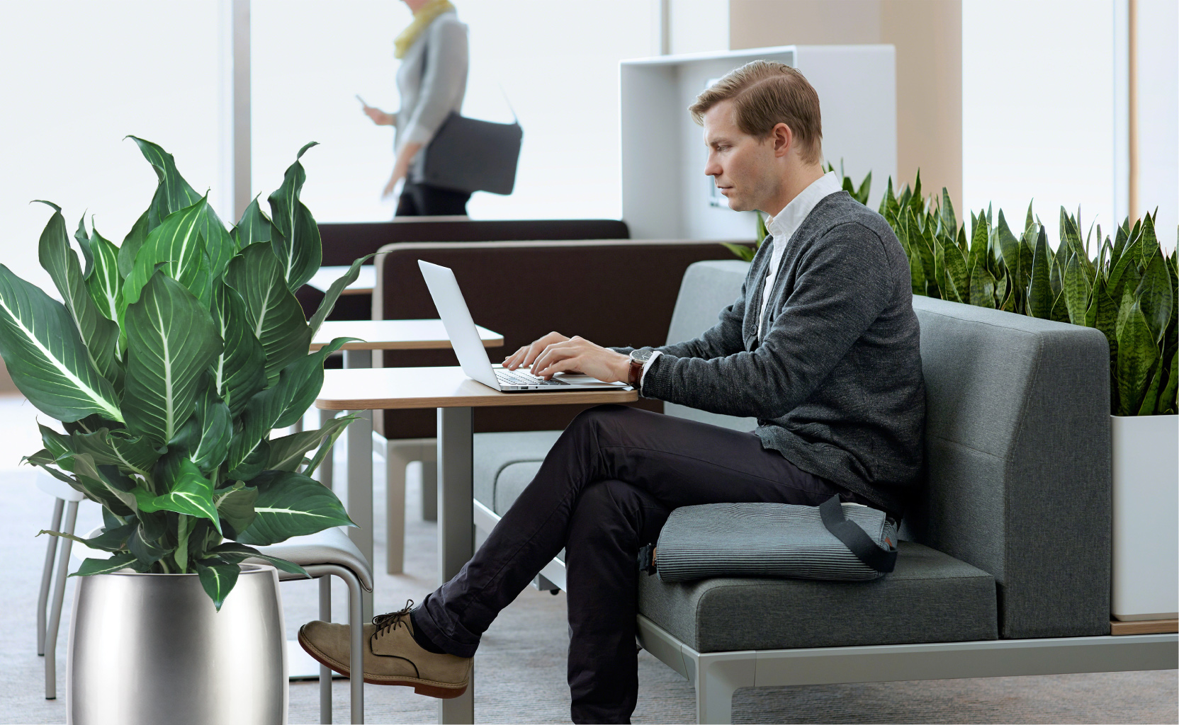 Natura-office_plants-work Natura-office_plants-work